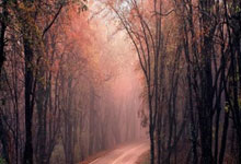 足球比分旧版新浪有哪些特点和回忆？