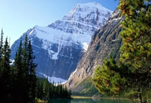 今晚19点30女排直播有哪些看点？